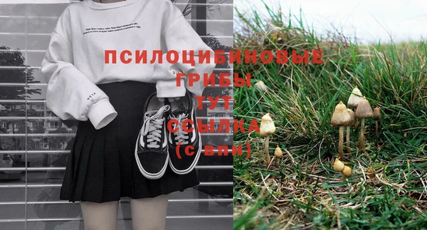 соль курить ск Абаза