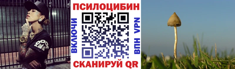 сайты даркнета Telegram  Стрежевой  Псилоцибиновые грибы MAGIC MUSHROOMS  MEGA маркетплейс 