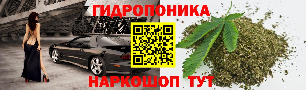 Бошки марихуана White Widow Стрежевой